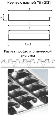 �������. �����